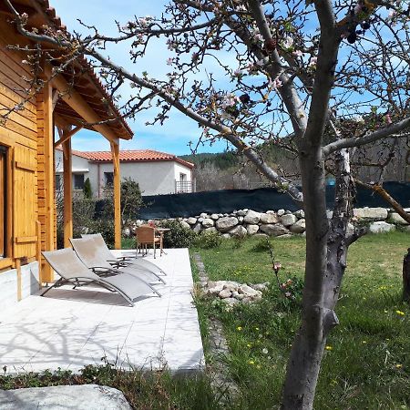 Corneilla-de-Conflent Chalet Mont Canigo 빌라 외부 사진