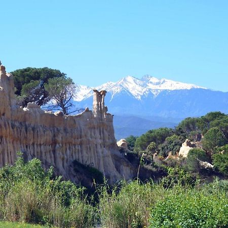Corneilla-de-Conflent Chalet Mont Canigo 빌라 외부 사진