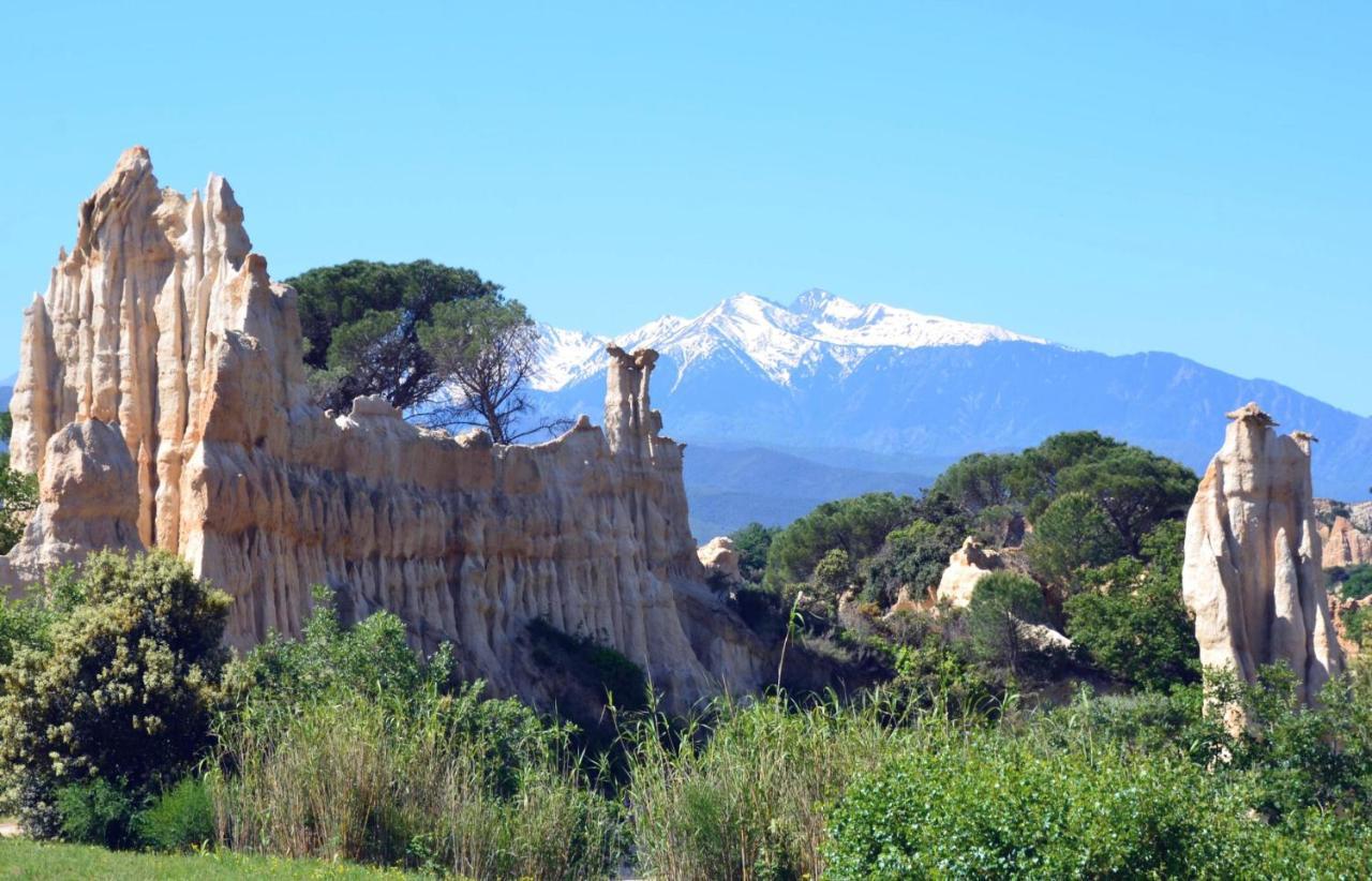 Corneilla-de-Conflent Chalet Mont Canigo 빌라 외부 사진