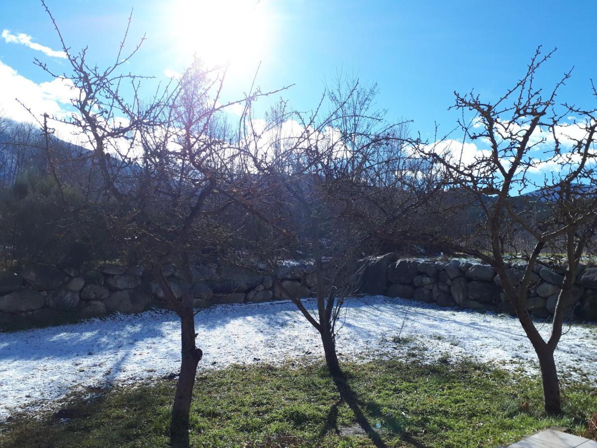Corneilla-de-Conflent Chalet Mont Canigo 빌라 외부 사진