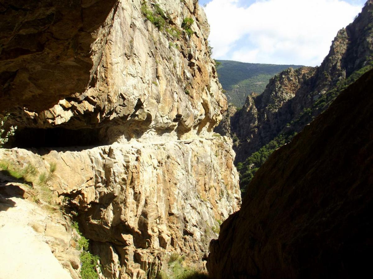 Corneilla-de-Conflent Chalet Mont Canigo 빌라 외부 사진