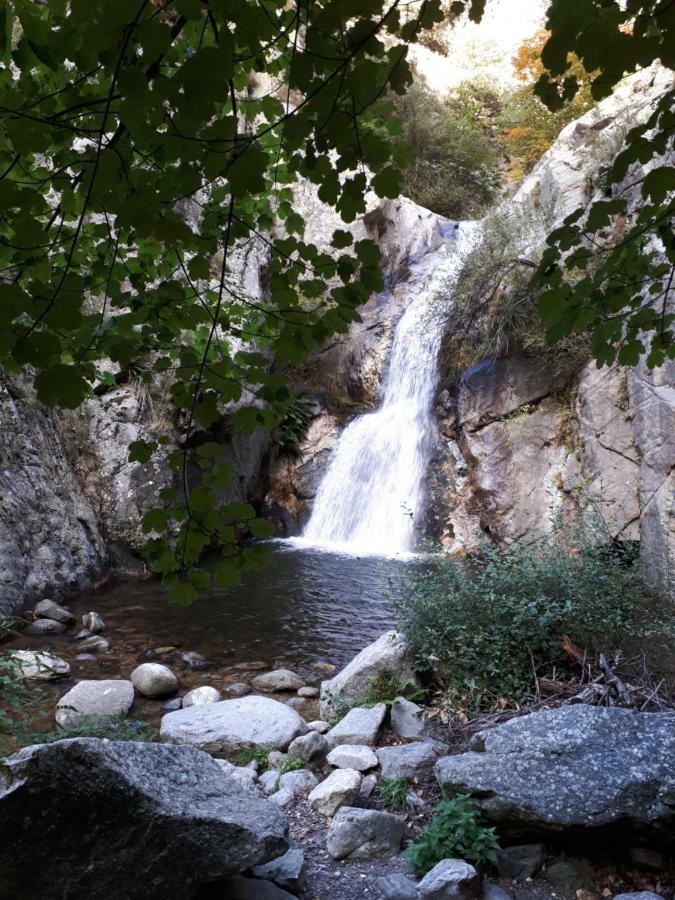 Corneilla-de-Conflent Chalet Mont Canigo 빌라 외부 사진