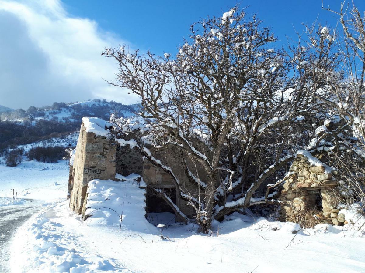 Corneilla-de-Conflent Chalet Mont Canigo 빌라 외부 사진